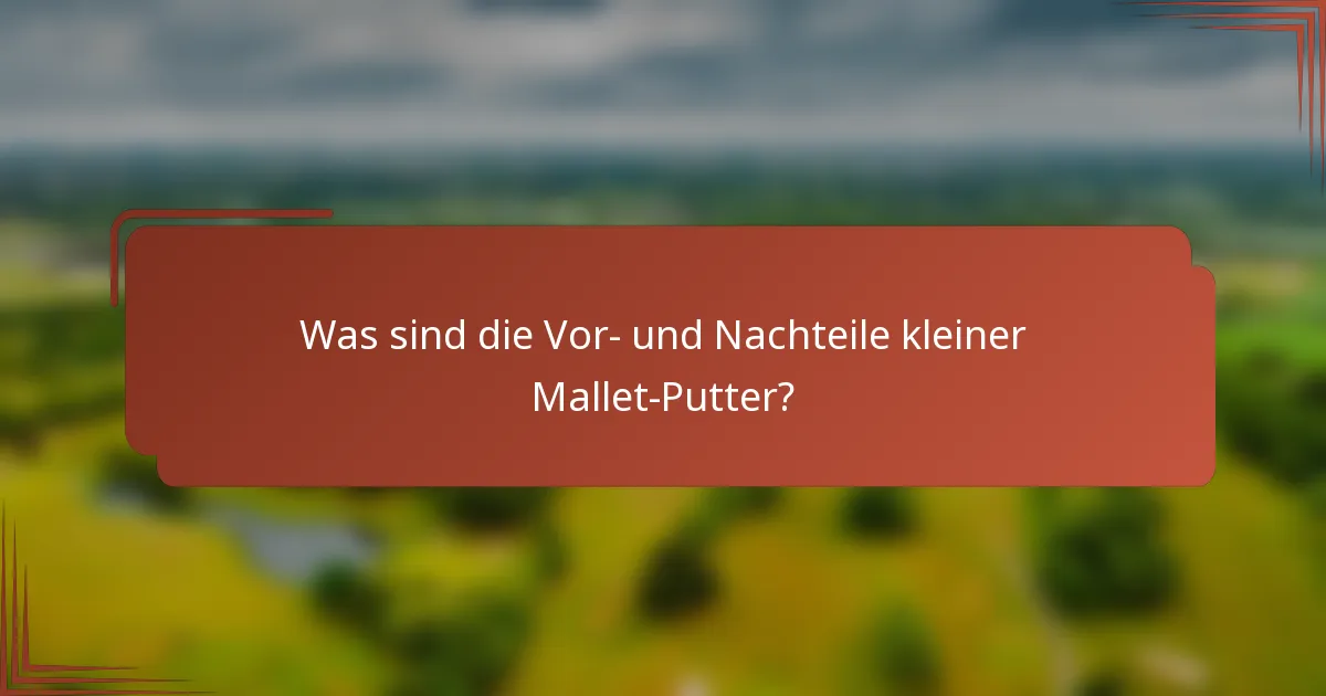 Was sind die Vor- und Nachteile kleiner Mallet-Putter?