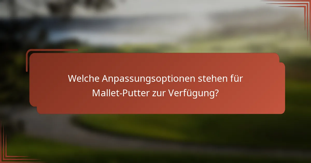 Welche Anpassungsoptionen stehen für Mallet-Putter zur Verfügung?