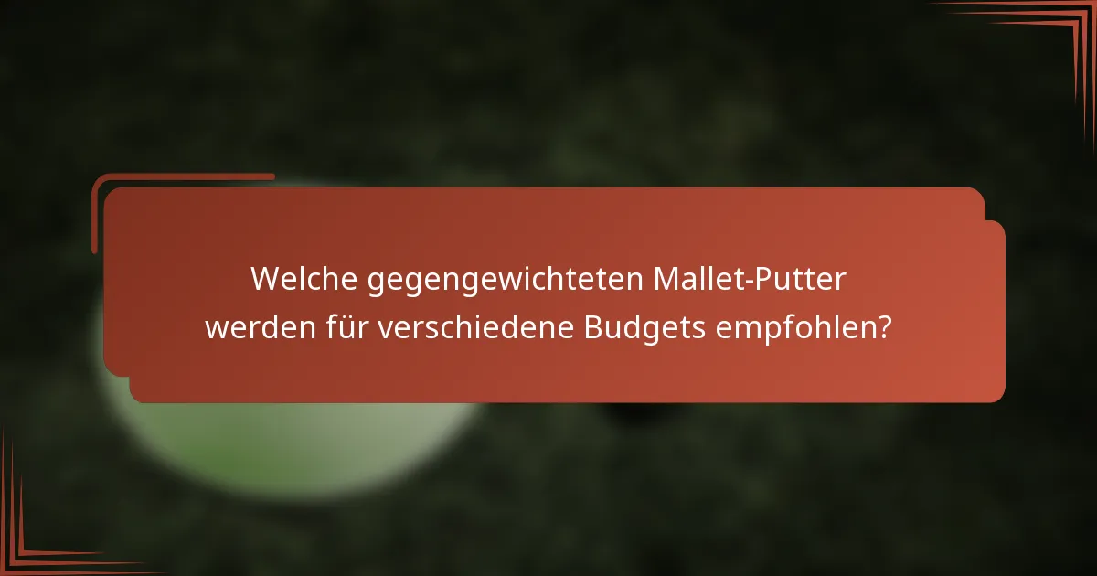 Welche gegengewichteten Mallet-Putter werden für verschiedene Budgets empfohlen?