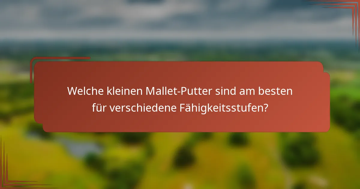 Welche kleinen Mallet-Putter sind am besten für verschiedene Fähigkeitsstufen?